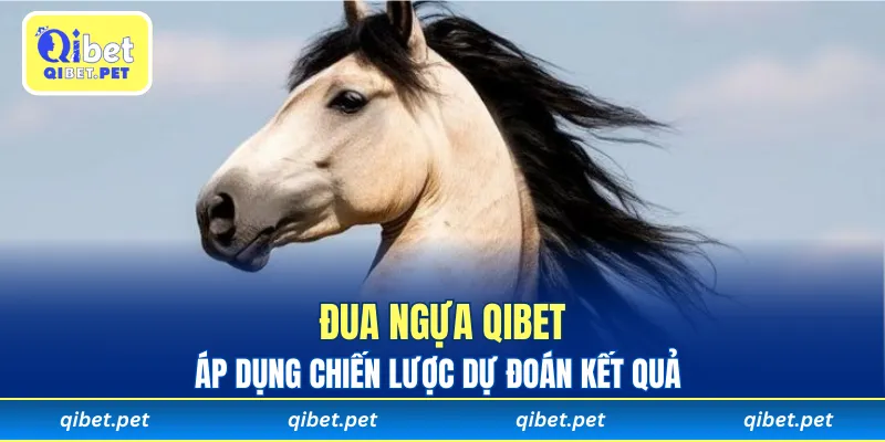Áp dụng chiến lược dự đoán kết quả Đua Ngựa Qibet