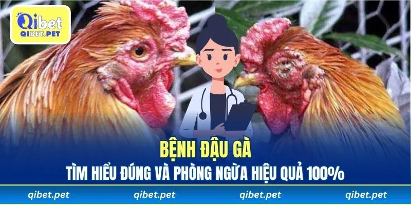 Bệnh đậu gà