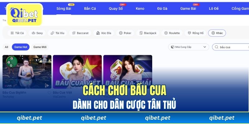 Cách chơi bầu cua dành cho dân cược tân thủ 