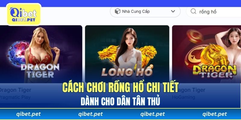 Cách chơi rồng hổ chi tiết dành cho dân tân thủ