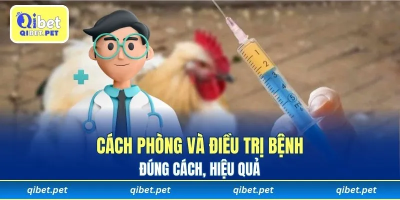 Hướng xử lý và phòng bệnh toàn diện