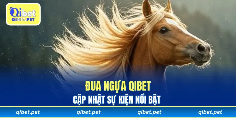 Cập nhật sự kiện nổi bật cùng Đua Ngựa Qibet