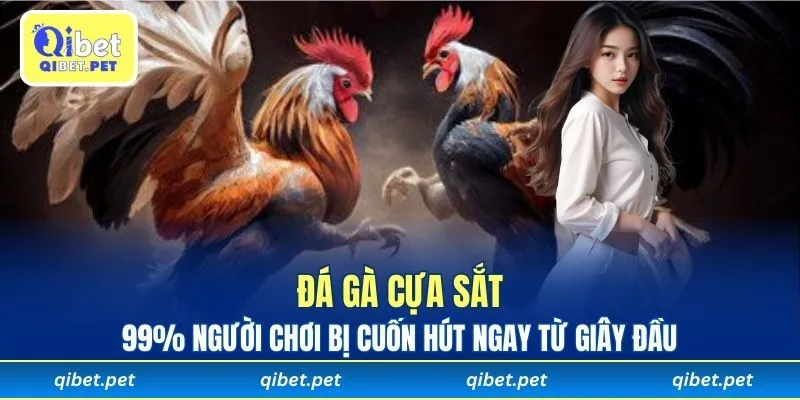 Đá gà cựa sắt