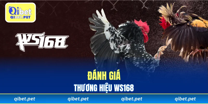 Đánh giá tổng thể thương hiệu WS168