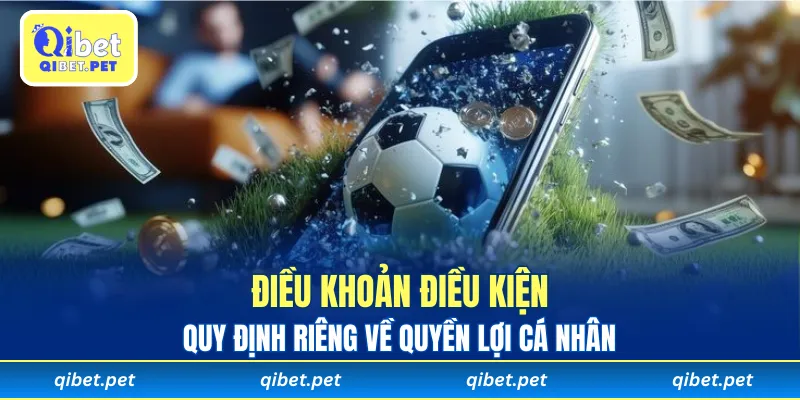Điều khoản điều kiện quy định riêng về quyền lợi cá nhân
