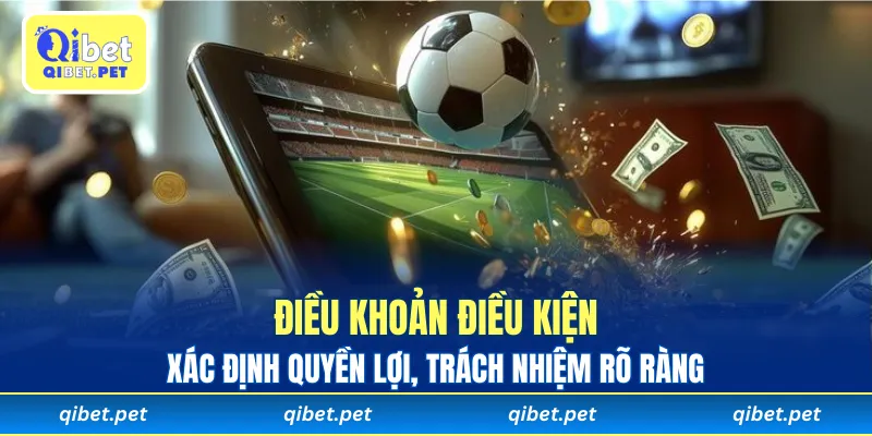 Điều khoản điều kiện xác định quyền lợi, trách nhiệm rõ ràng