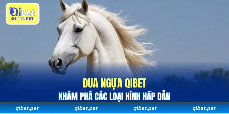 Khám phá các loại Đua Ngựa Qibet đa dạng hấp dẫn