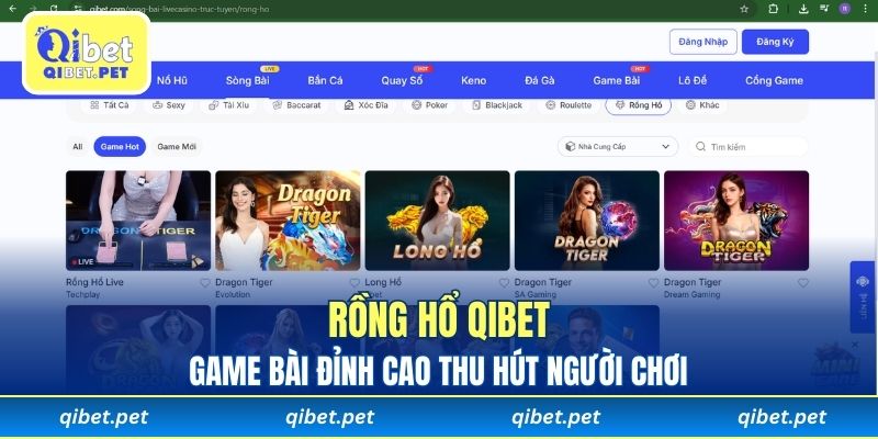 Rồng Hổ Qibet