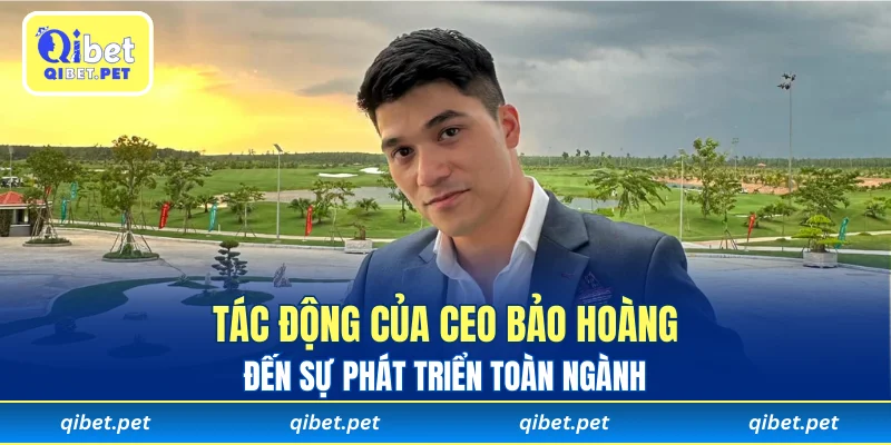 Tác động của CEO Bảo Hoàng đến sự phát triển toàn ngành